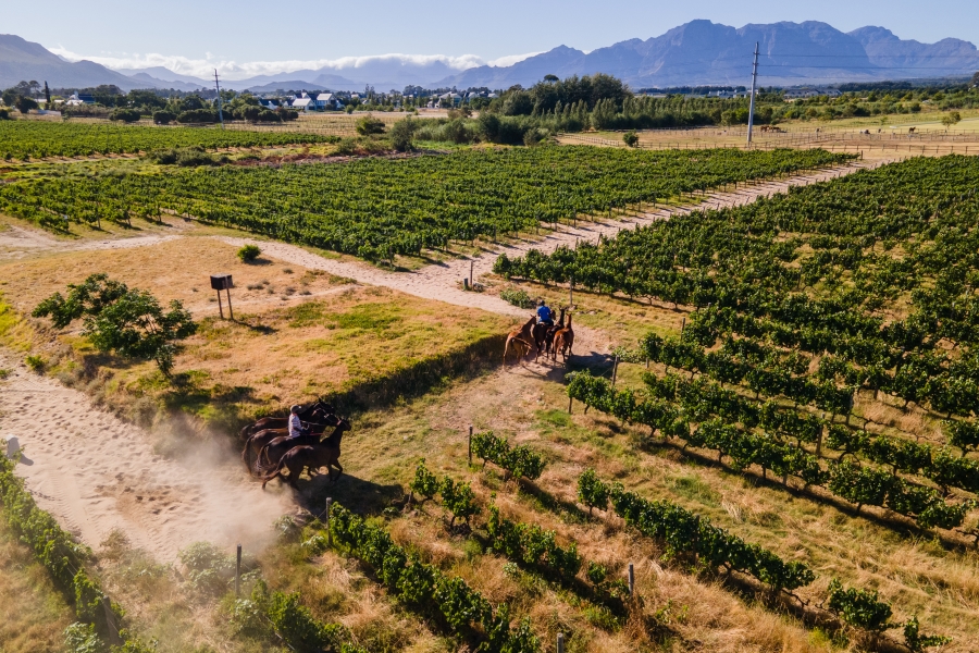 0 Bedroom Property for Sale in Val De Vie Estate Western Cape